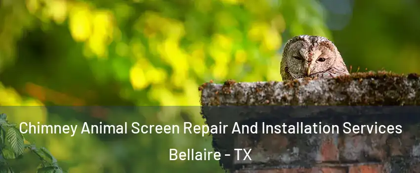  Chimney Animal Screen Repair And Installation Services Bellaire - TX
