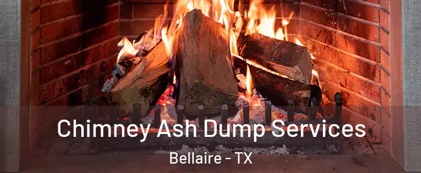  Chimney Ash Dump Services Bellaire - TX