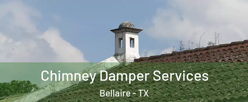  Chimney Damper Services Bellaire - TX