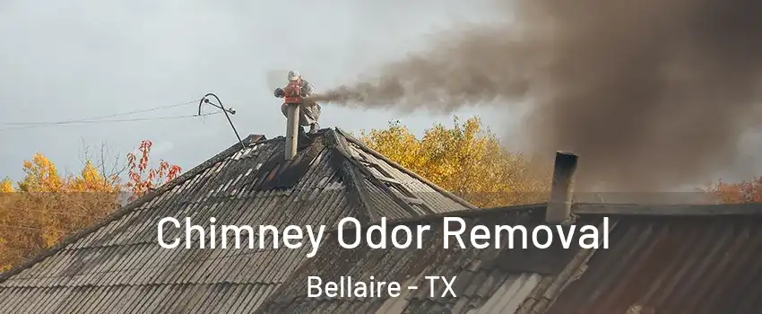  Chimney Odor Removal Bellaire - TX