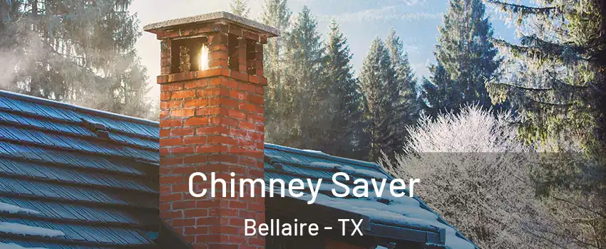 Chimney Saver Bellaire - TX