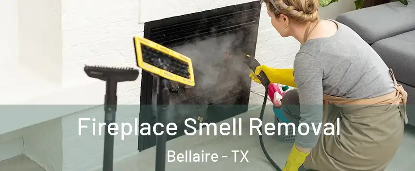  Fireplace Smell Removal Bellaire - TX