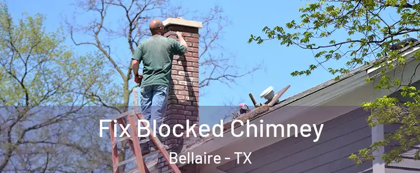  Fix Blocked Chimney Bellaire - TX