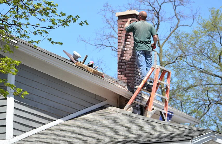 Chimney & Fireplace Inspections Services in Bellaire, TX