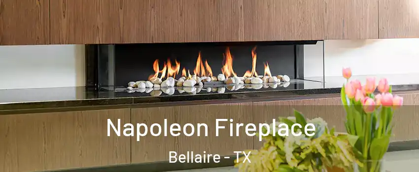  Napoleon Fireplace Bellaire - TX